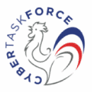 cyber task force